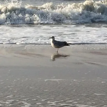 Oceans 18 Comfortable בית נופש